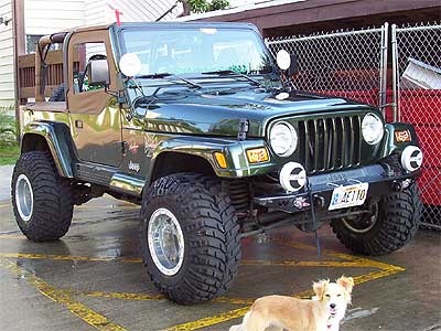 2000 Jeep Wrangler: Prices, Reviews & Pictures - CarGurus