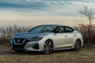 Picture of 2019 Nissan Maxima