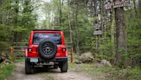 Picture of 2021 Jeep Wrangler