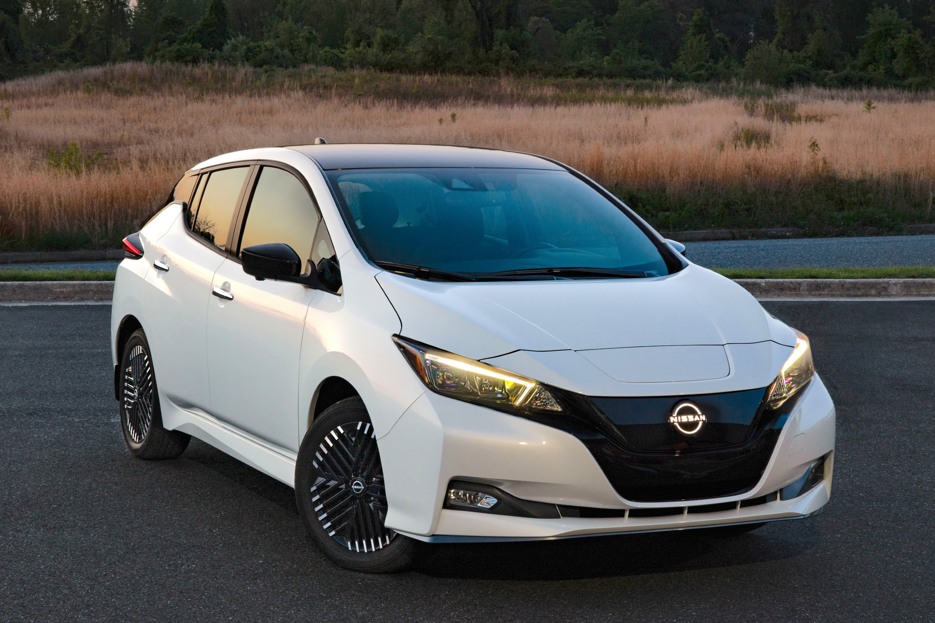 2025 Nissan Leaf white