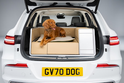 Genesis Creates the ‘Ultimate Dog Accessory’ thanks to CarGurus Research