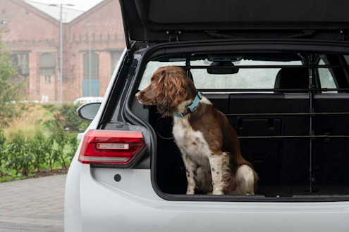 Best Electric Cars for Dogs in 2026