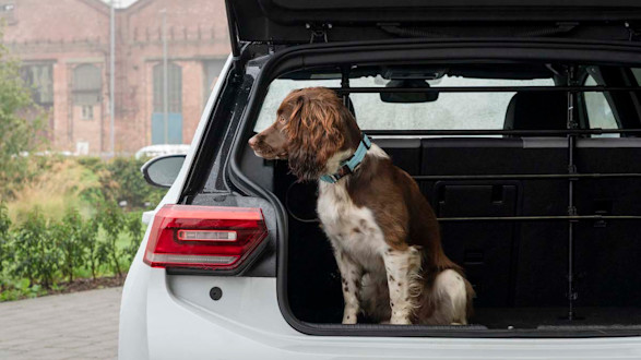 Best Electric Cars for Dogs in 2026