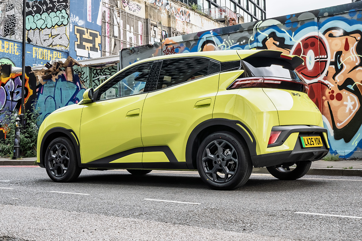 BYD Dolphin Surf rear 1