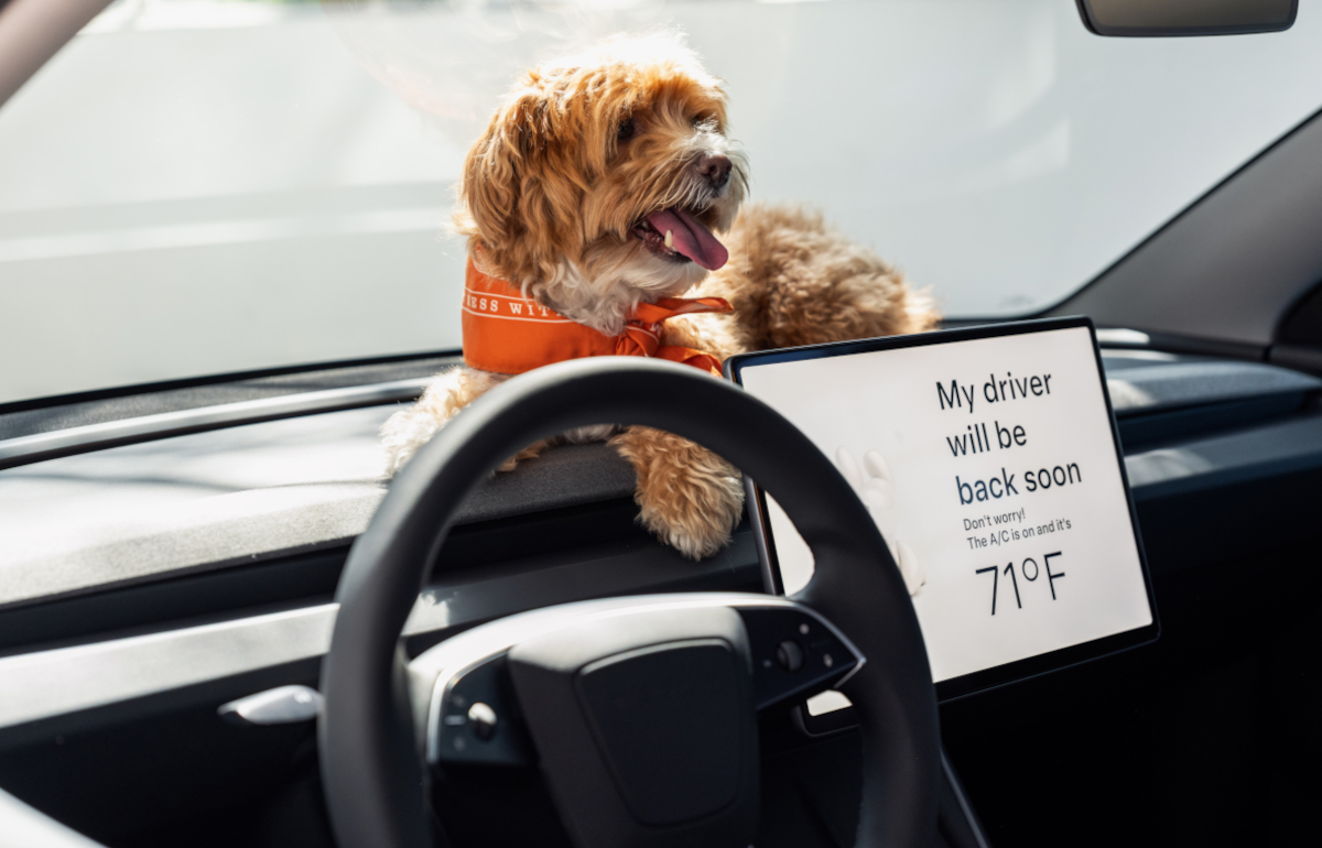 Model 3 dog mode