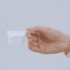 Dose
