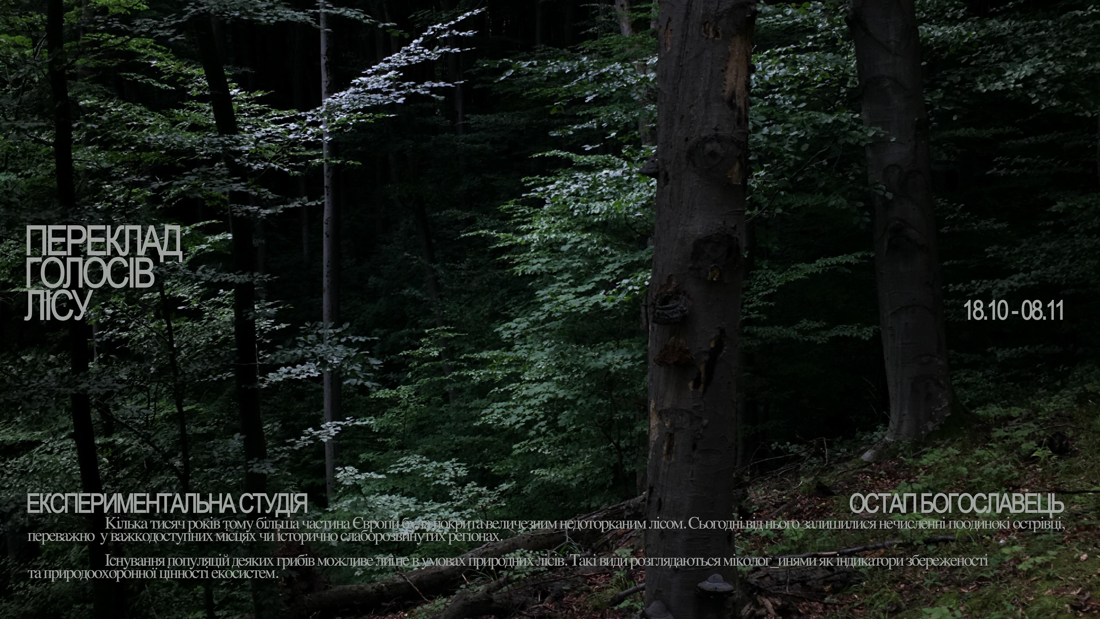 Еxhibition "Translating the Voices of the Forest"
