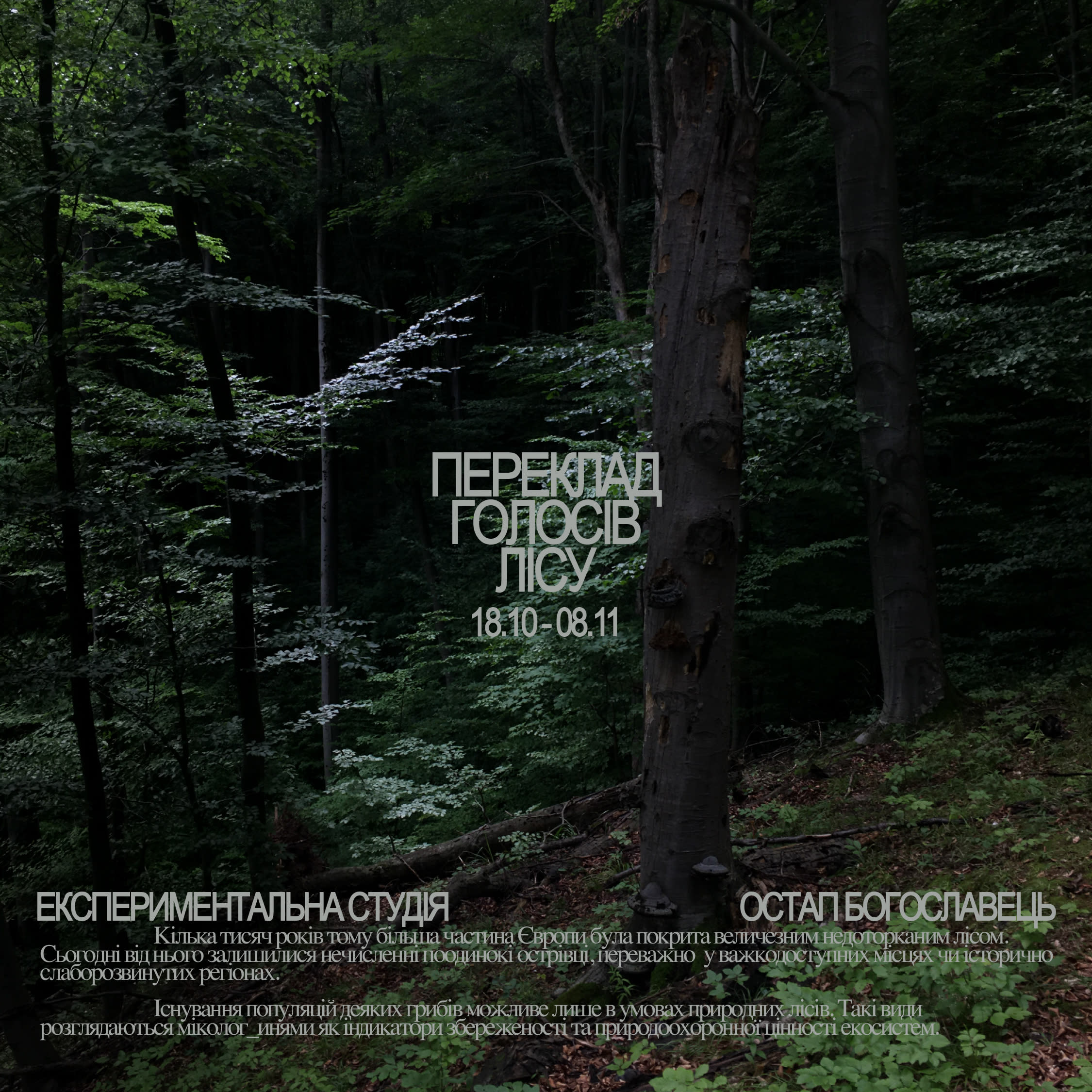 Cover Image for Еxhibition "Translating the Voices of the Forest"