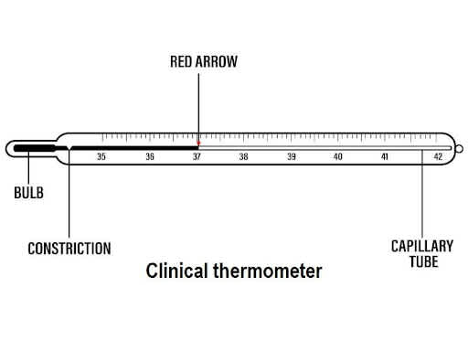 Clinical thermometer