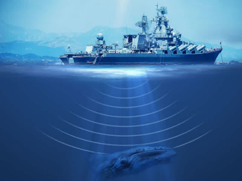 Picture depicting how SONAR works