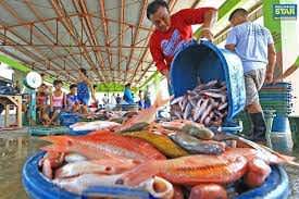 The picture depicts finfish culture