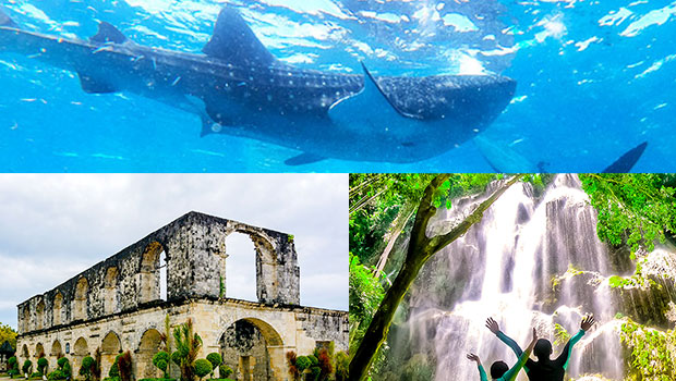 Whale Shark + Tumalog + Oslob Church