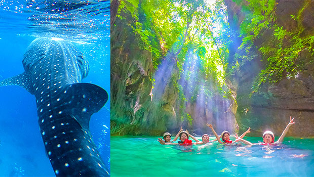 Whale Shark + Canyoneering