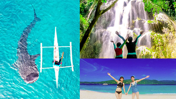 Whaleshark + Sumilon + Tumalog Falls Tour