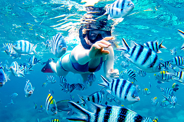 San Vicente Marine Sanctuary