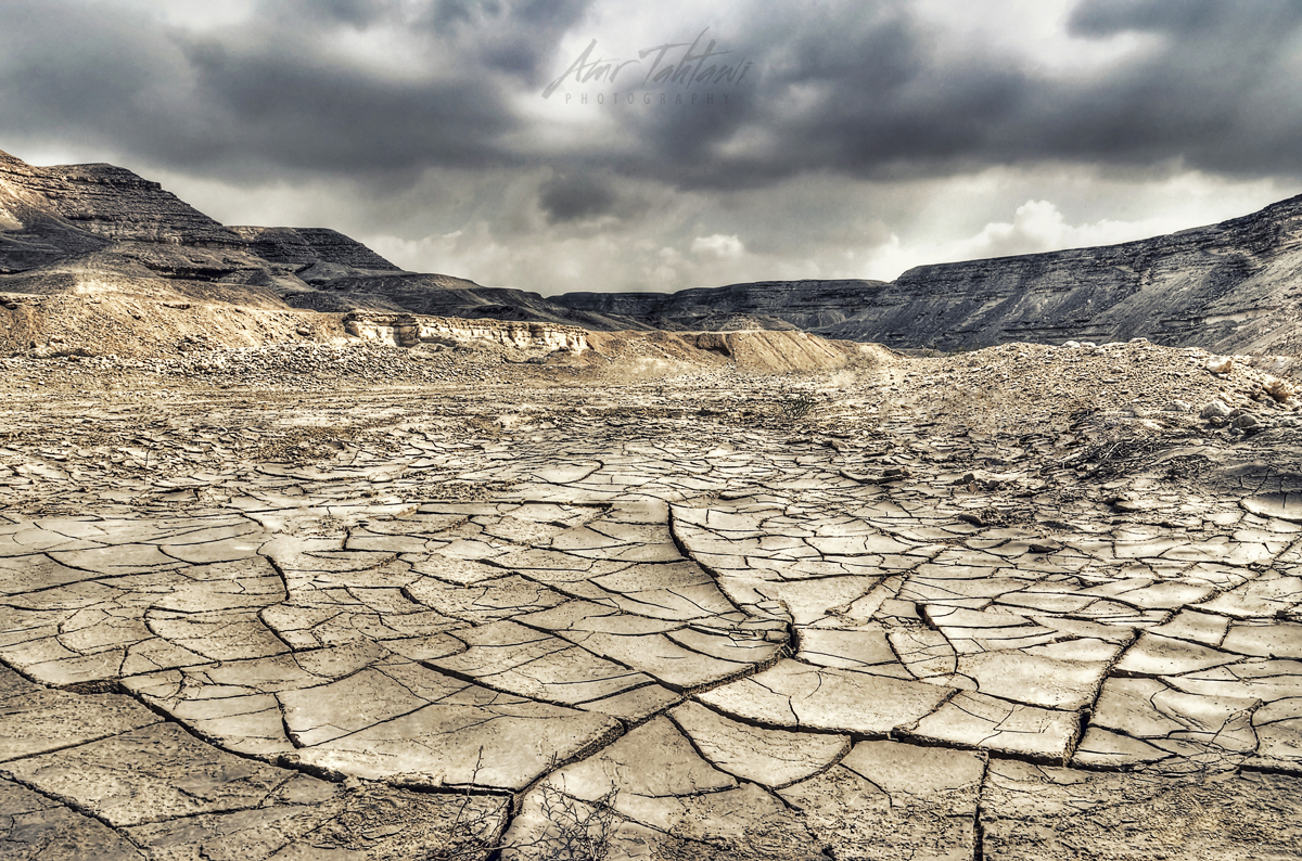 How does extreme heat distort ecosystems