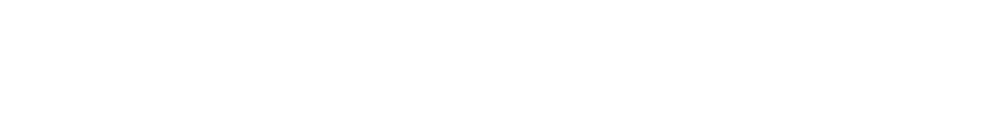 Ashley Madison Logo