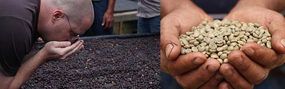 helping_farmers