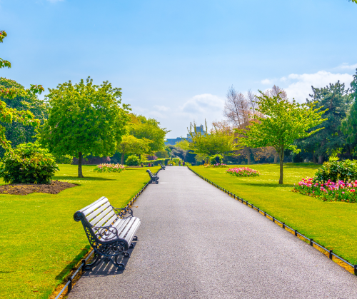 People's garden in the Phoenix park in Dublin, Ireland