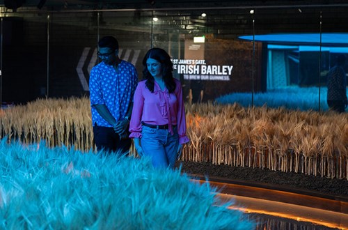 A man and woman in bright clothing stand in a dimmed room, looking down at a display of barley in the Guinness Storehouse ingredients room