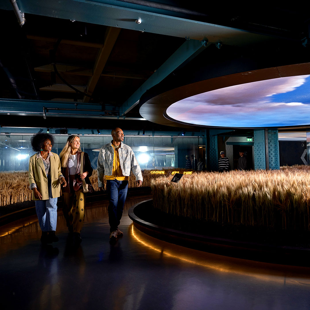 Barley Floor Image