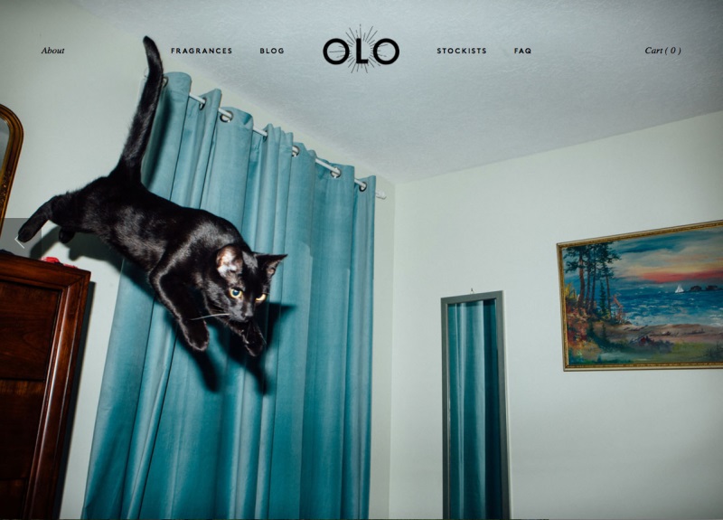 OLO