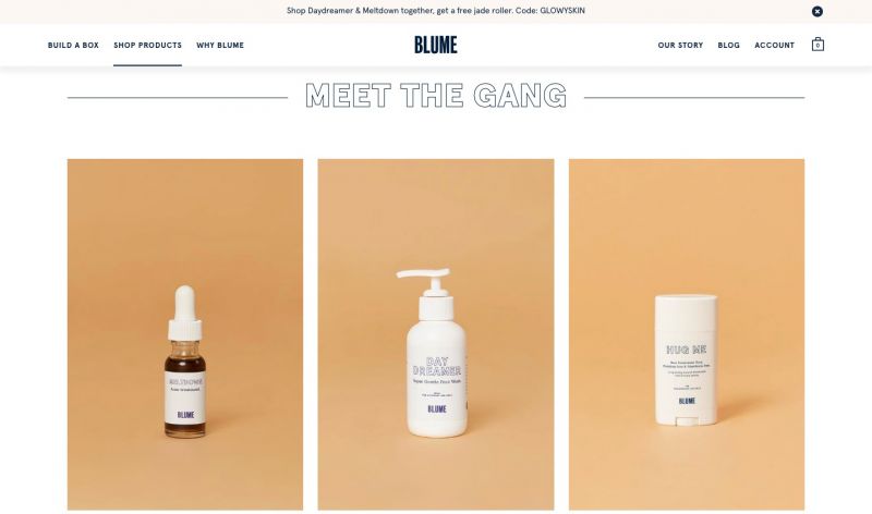 Best minimalist e-commerce design Blume