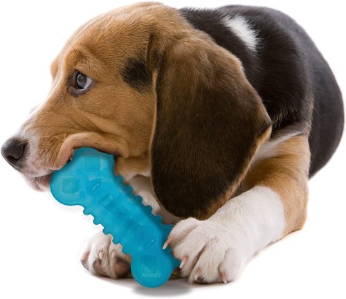 nylabone-chill-chewer