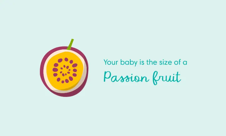 Your baby is the size of a passion fruit