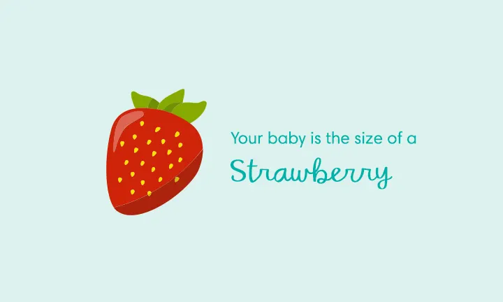 Your baby is the size of a strawberry