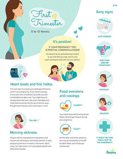 First Trimester: 101 Guide to the First 13 Weeks of Pregnancy