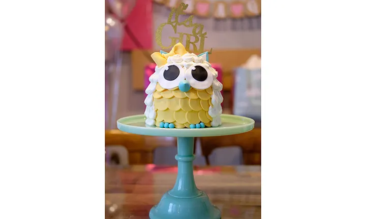 owl baby shower cake