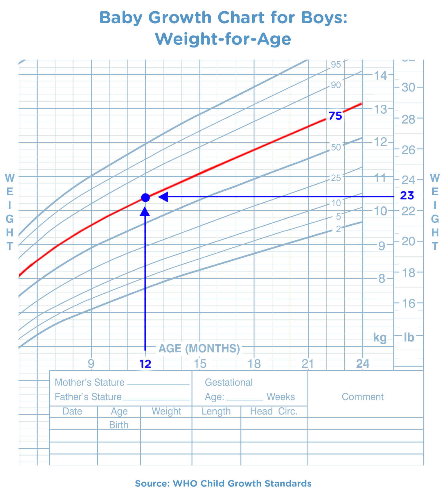 Baby Chart By Age