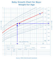 The Average Newborn Triples His Weight By