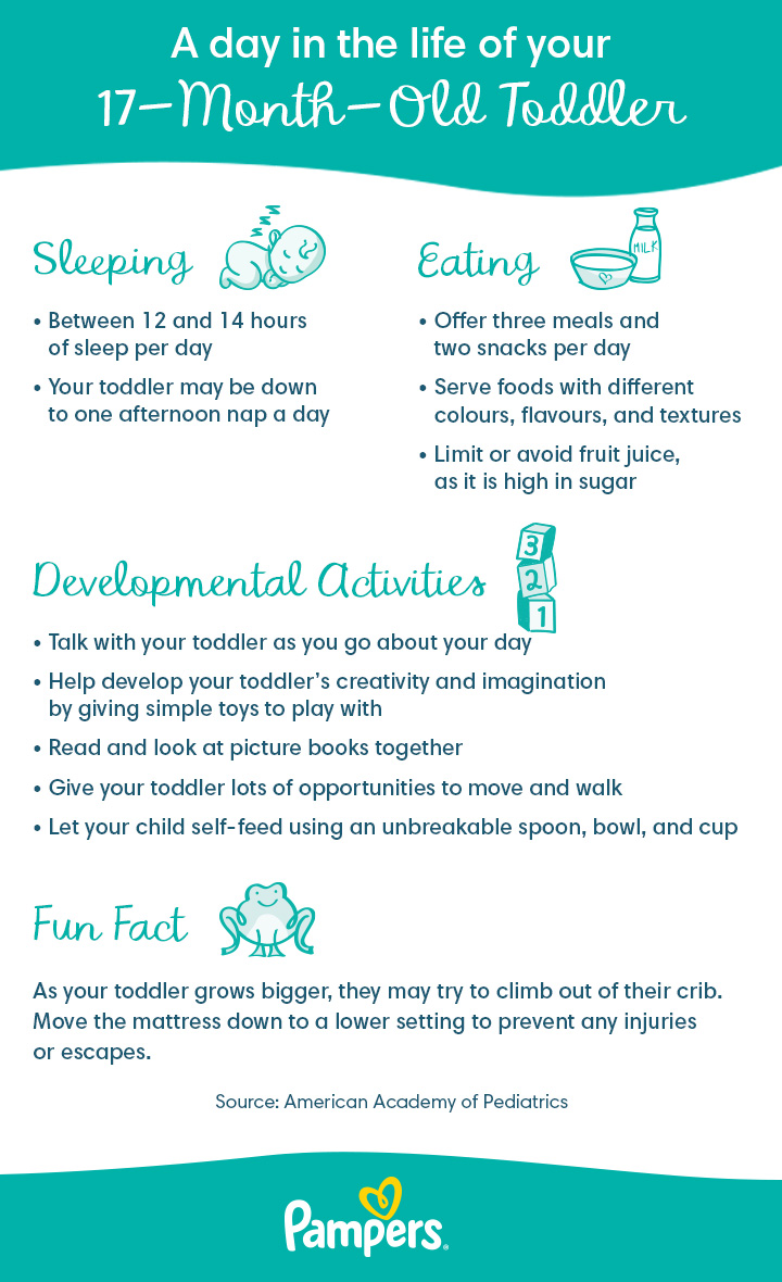 17 Month Old Baby Development Milestones Pampers CA