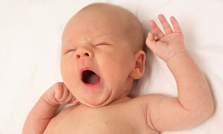 Newborn sleep schedule