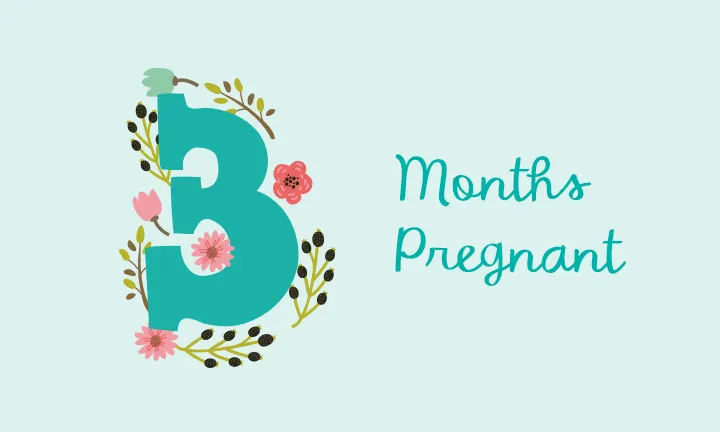 3 Months Pregnant