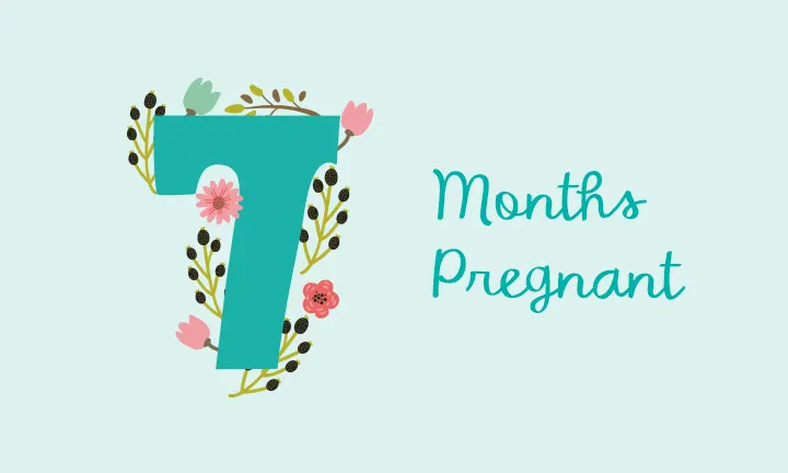 7 Months Pregnant: Your Growing Bump & Weight Gain | Pampers CA