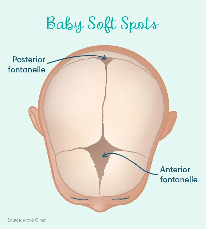 Baby soft spots visualization