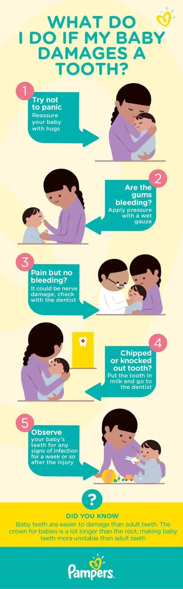 What do I do if my baby damages a tooth