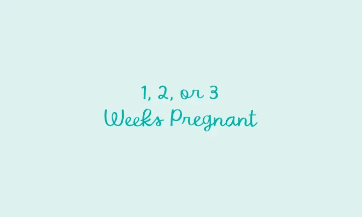 1, 2, and 3 Weeks Pregnant