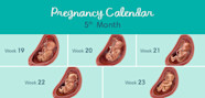 Months Pregnant Your Baby Development And What To Expect 44 OFF