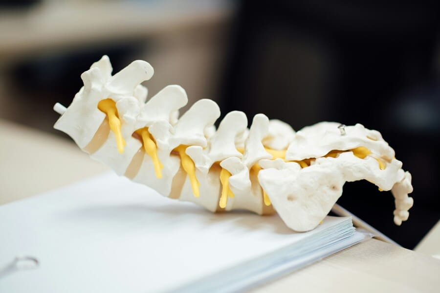module-chiropractor (1)