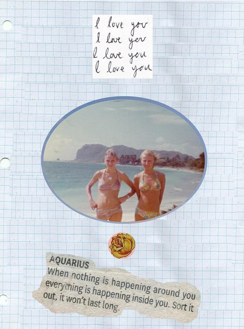 Pink Rabbit Foot Diary 2