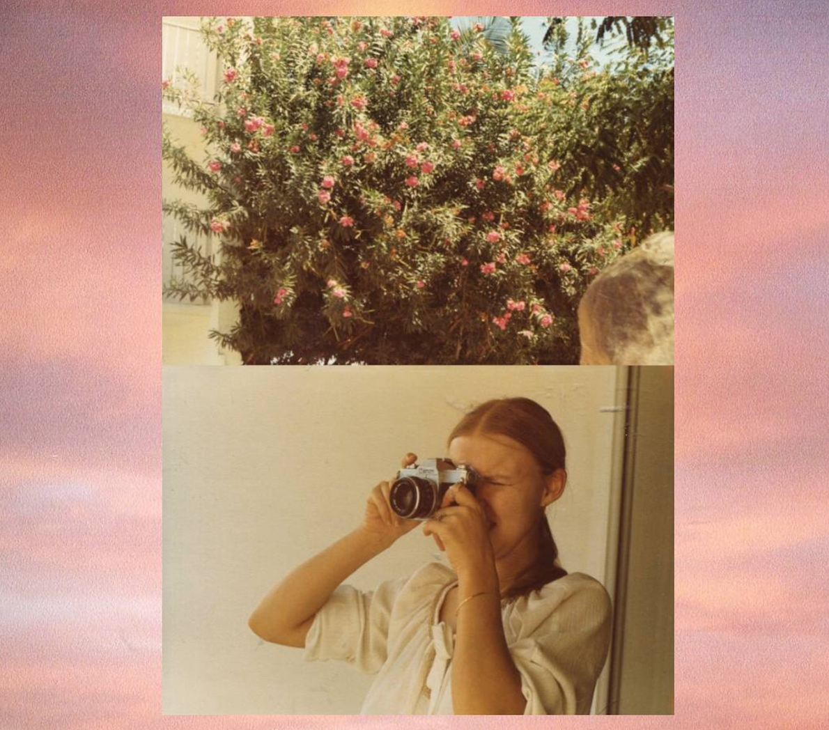 Pink Rabbit Foot Diary 4