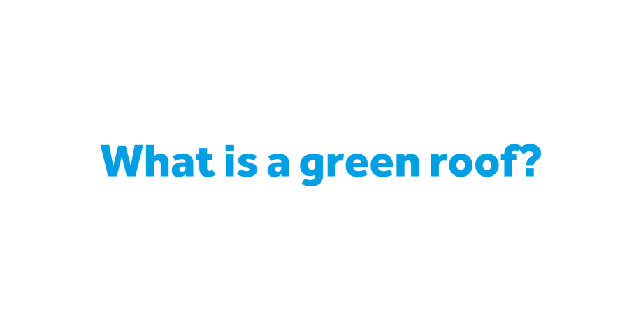 What is a green roof? thumbnail