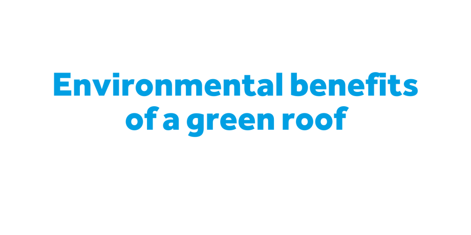 Environmental benefits of a green roof thumbnail