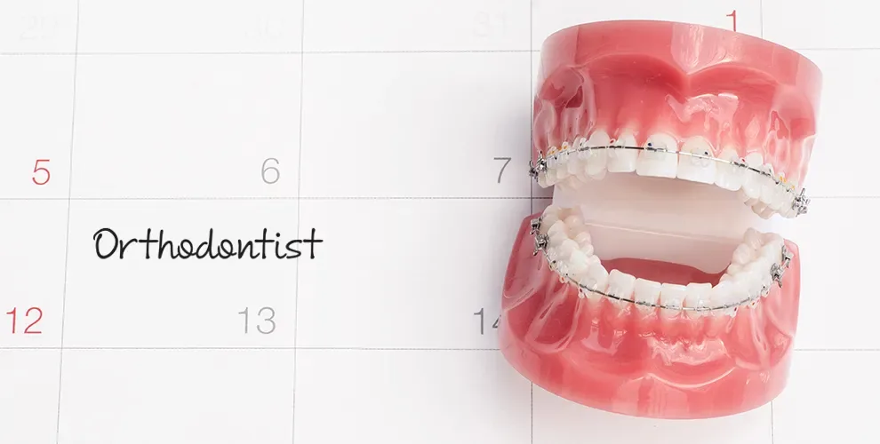 Orthodontic Wax Uses, Costs & Where to Buy It Byte®