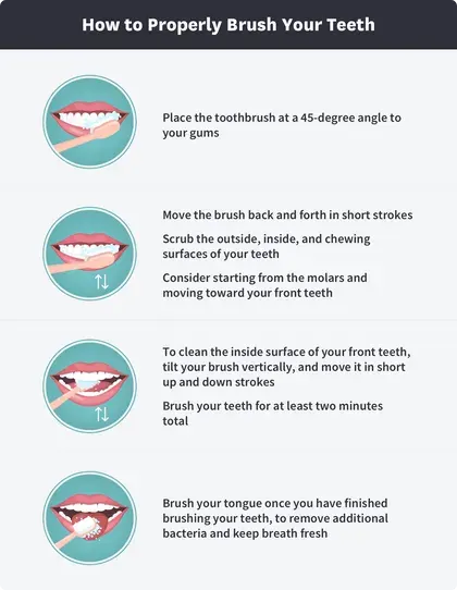 how to properly brush your teeth