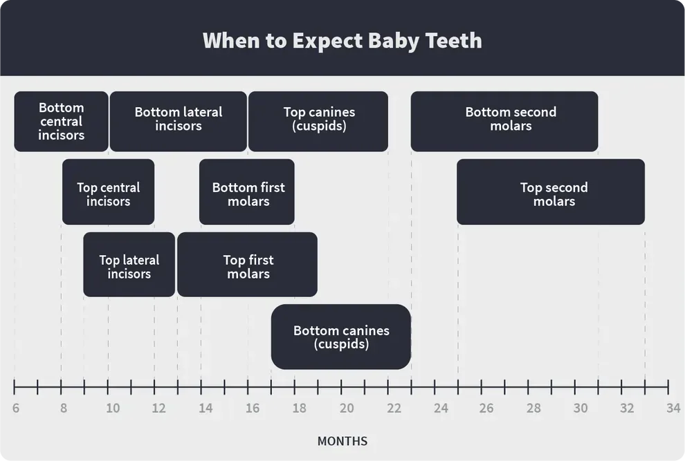 when to expect baby teeth